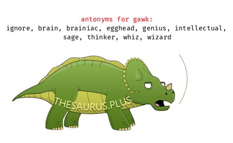 gawk antonyms|Gawk Synonyms and Antonyms